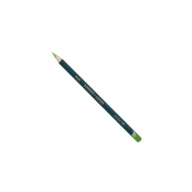Crayon de couleur Derwent Artists Herbe verte 4700