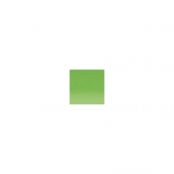 Crayon de couleur Derwent Artists Herbe verte 4700