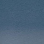 Crayon de couleur Derwent Studio Indigo 36