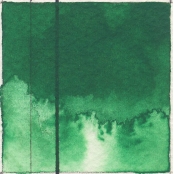 Aquarelle EF QoR 11ml Vert permanent clair S2