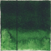 Aquarelle EF QoR 11ml Vert de vessie S2