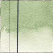 Aquarelle EF QoR 11ml Terre verte S1