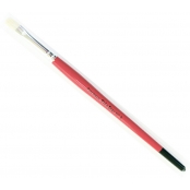 Brosse Plate Soie de Porc n°8 - lot de 10 brosses