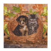 CRYSTAL ART Kit tableau broderie diamant 30x30cm Chat & chien panier