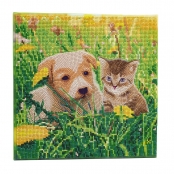 CRYSTAL ART Kit tableau broderie diamant 30x30cm Chat & chien pré