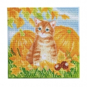 CRYSTAL ART Kit tableau broderie diamant 30x30cm Chat et citrouilles