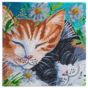 CRYSTAL ART Kit tableau broderie diamant 30x30cm Chats dormeurs