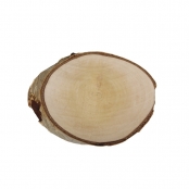 Disque de bouleau Ø16 cm
