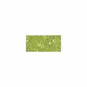 Perle Miyuki Delica 10/0 DBM174 Rainbow transp. vert pomme