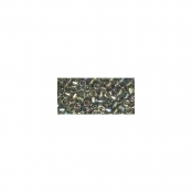 Perle Miyuki Delica 10/0 DBM107 Rainbow transp. gris argenté