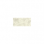 Perle Miyuki Delica 10/0 DBM351 blanc neige