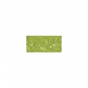 Perle Miyuki Delica 11/0 DB174 Rainbow transp. vert pomme