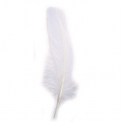 Plume d'oie longue Blanc 16/20 cm 8 pièces