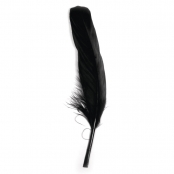 Plume d'oie longue Noir 16/20 cm 8 pièces