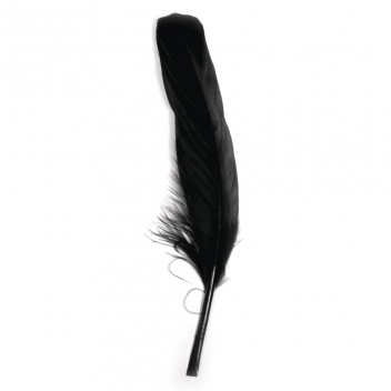 85461576 - 4006166405068 - Rayher - Plume d'oie longue Noir 16/20 cm 8 pièces - 2