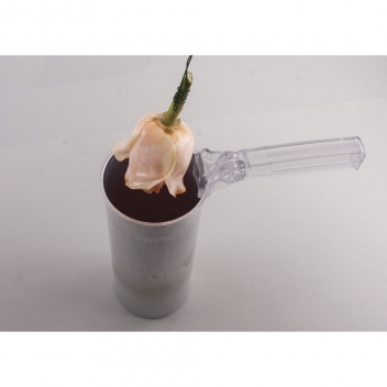 3105000 - 4006166039430 - Rayher - Cire à tremper transparente pour conserver une fleur - 3