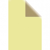 Rouleau de papier kraft Vert pomme 70cm x 2m