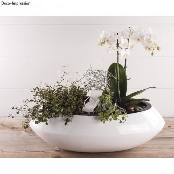 46075000 - 4006166440861 - Rayher - Kit Jardin miniature Relax
