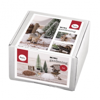 46137000 - 4006166481017 - Rayher - Kit Jardin miniature Rêve d\'hiver - 4