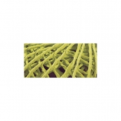 Cordon Vert clair Coton Ø 1mm 20 m
