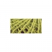 Array.produit_nom_nom