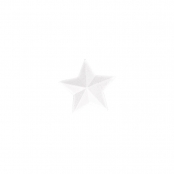 Étoile en Polystyrène 15 cm