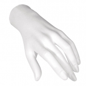 Main de femme en Polystyrène 21 cm
