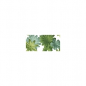 Fleurs en papier Vert moyen 1,5 à 2,5cm 36 pièc.
