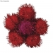 Array.produit_nom_nom
