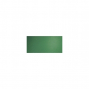 Oeuf en plastique 6 cm Vert