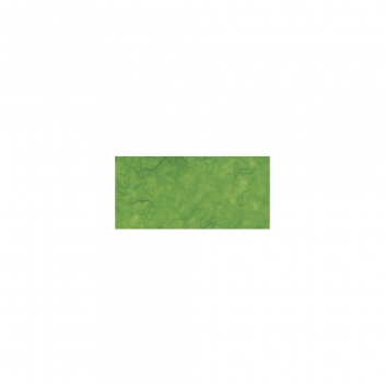 81045422 - 4006166084997 - Rayher - Papier de soie Japon Vert gazon Rouleau 150 x 70 cm