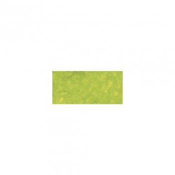 81045416 - 4006166084973 - Rayher - Papier de soie Japon Vert pomme Rouleau 150 x 70 cm