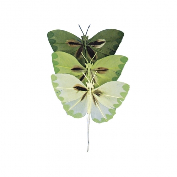 8518313 - 4006166070143 - Rayher - Papillon en plumes Teintes vertes 2 cm 6 pièces - 2