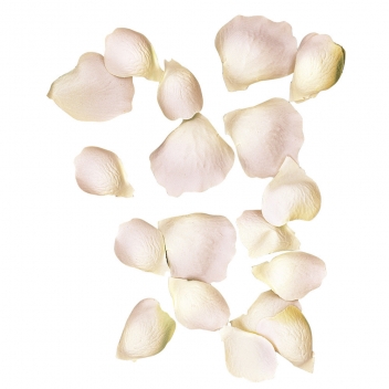 5118316 - 4006166615726 - Rayher - Pétales de roses Rose 3 & 4,5 cm 41 pièces - 2