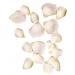 Array.produit_nom_nom