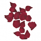 Pétales de roses Rouge 3 & 4,5 cm 41 pièces