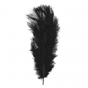 Plume d'autruche Noir 30 cm 1 pièce