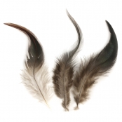 Plume de coq Brun foncé 10/15 cm 3 g