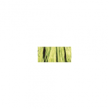 5214911 - 4006166508547 - Rayher - Raphia rayonné Vert clair Mat Echeveau 20 m - 12g
