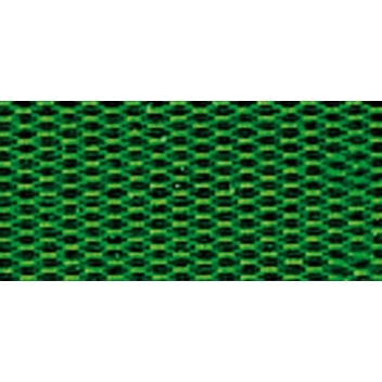 5151213 - 3700982202139 - Rayher - Ruban Taffetas Vert foncé 25 mm Au mètre
