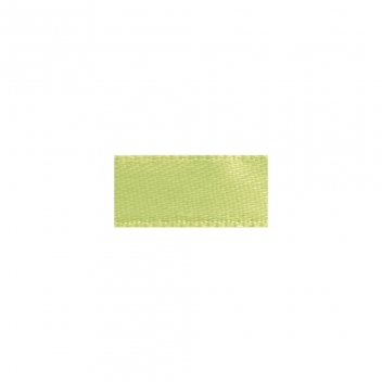5521211 - 4006166321306 - Rayher - Ruban satin Vert clair 3 mm 10 m