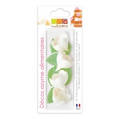 Roses Blanches et Feuilles Vertes Azyme