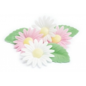 Marguerites et Feuilles Vertes Azyme
