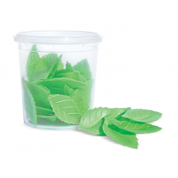 2260 - 3700392422608 - Scrapcooking - Décos Azyme 24  Feuilles  Vertes - France - 3