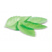 Décos Azyme 24 Feuilles Vertes