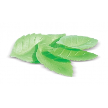 2260 - 3700392422608 - Scrapcooking - Décos Azyme 24  Feuilles  Vertes - France