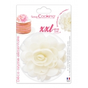 Fleur Azyme Blanche XXL 10 cm
