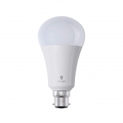 Ampoule LED Daylight 15w