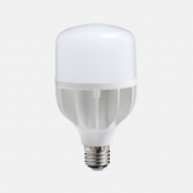 Ampoule LED Lumière du jour Daylight 18w - E15800