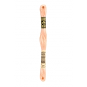 Fil Mouliné DMC Gold Concept 8M Col. 20 Broderie et Point de Croix